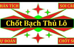 tính bạch thủ đề