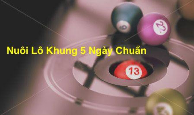 Chọn số lô nuôi 5 ngày chuẩn nhất