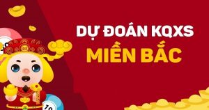 Dự đoán kết quả 12/11